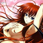 High School DxD Rias Gremory